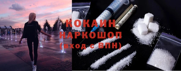 молекула духа Бронницы