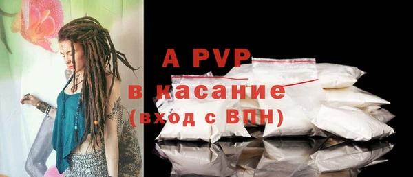 mdpv Бородино
