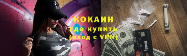 mdpv Бородино