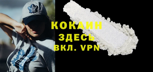 молекула духа Бронницы