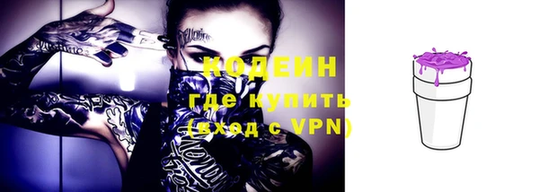 mdpv Бородино
