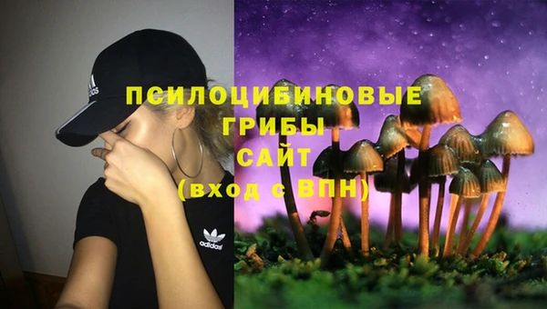 mdpv Бородино